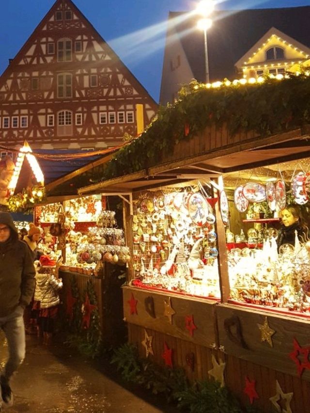 【ドイツ】エスリンゲン(Esslingen)