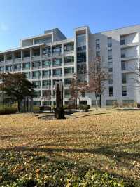 Yonsei University in November
