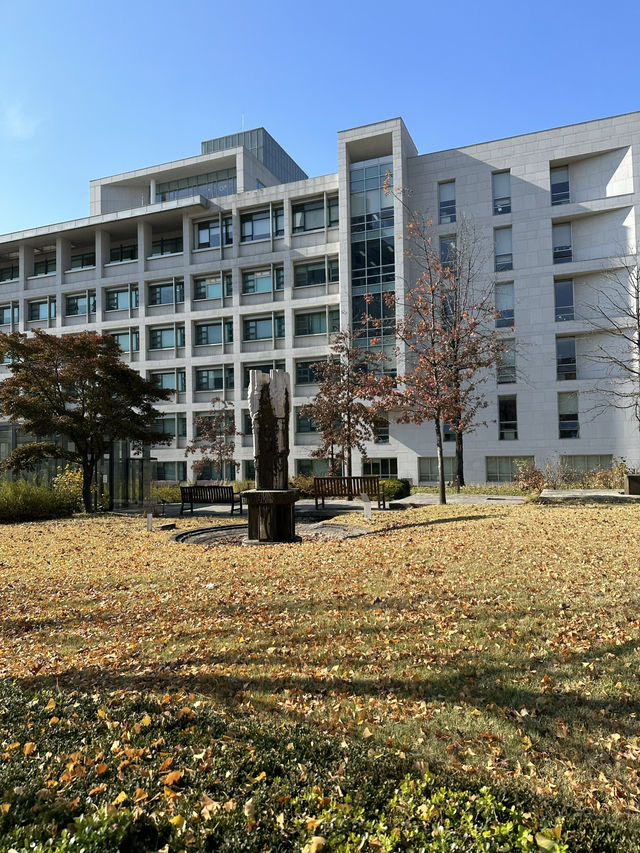 Yonsei University in November