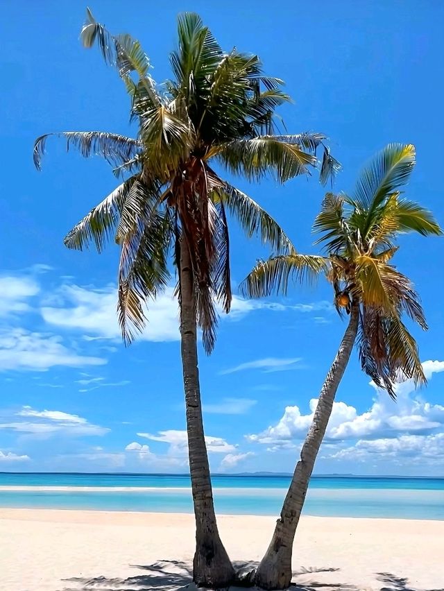Sandbar Dreams at Kota Beach, Bantayan