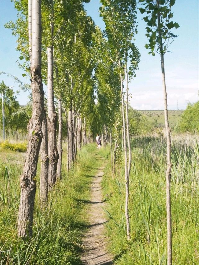 トビリシの癒しスポット🌿Lisi Lake周辺ののどかな風景