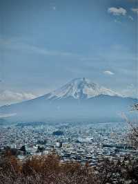 Day Trip Fuji Japan