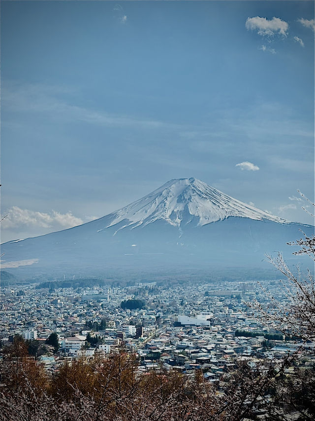 Day Trip Fuji Japan