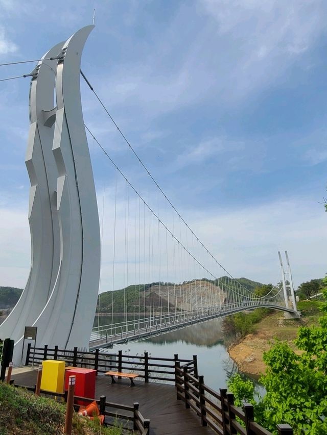 영주호를 가로질러볼수있는 💙용마루공원
