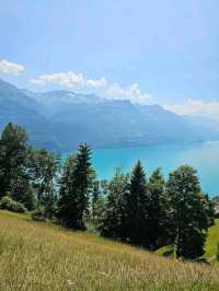 Brienzer Rothorn Steam Train