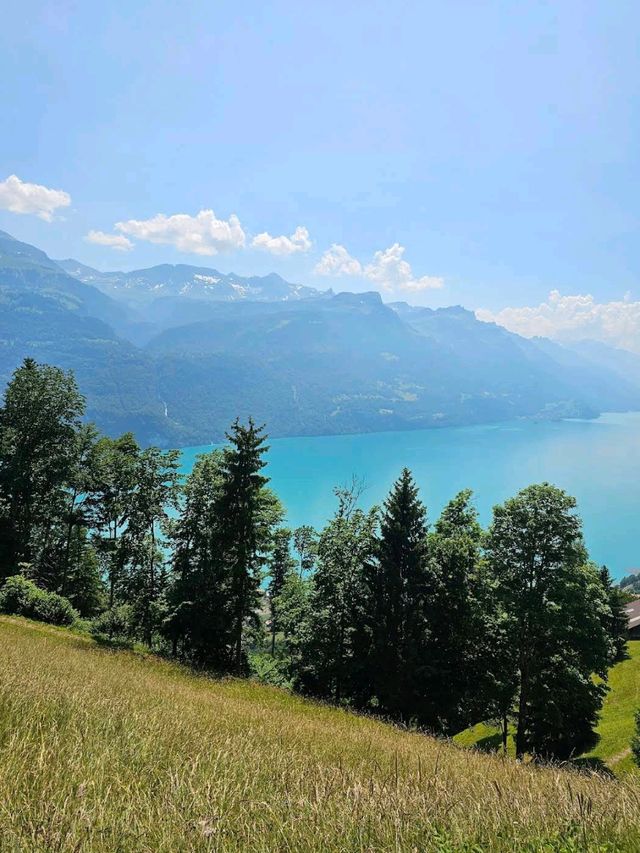 Brienzer Rothorn Steam Train