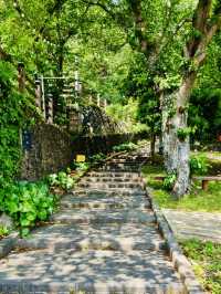 Commanding Daytime Vistas of Jeju's Coast and City