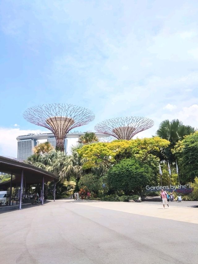 เที่ยวประเทศสิงคโปร์