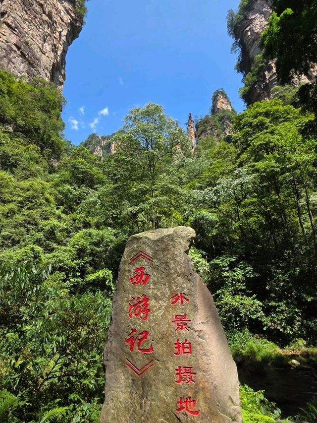 Zhangjiajie National Forest Park rocks!! 🏞