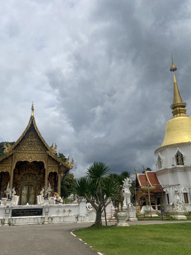 วัดป่าดาราภิรมย์ – สถานที่สงบงามแห่งแม่ริม