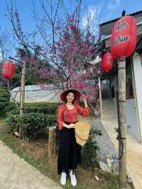 "Charming Stilt Houses & Tea Views – Lee Wine Ruk Thai Experience”