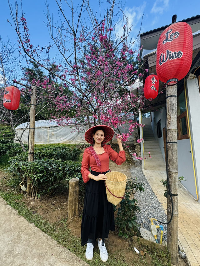 "Charming Stilt Houses & Tea Views – Lee Wine Ruk Thai Experience”