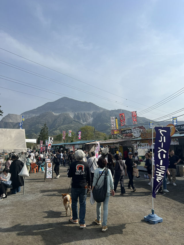 Awesome flower bazaar at rural Japan! 