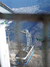 Beppu Ropeway ยอดเขาสึรุมิ