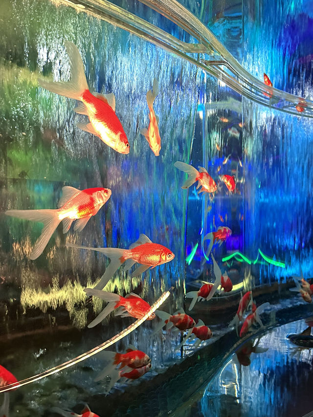 Art Aquarium Museum Ginza