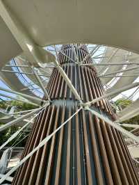 Above the City, Beneath Blue Skies: Harmony Tower, Xiamen