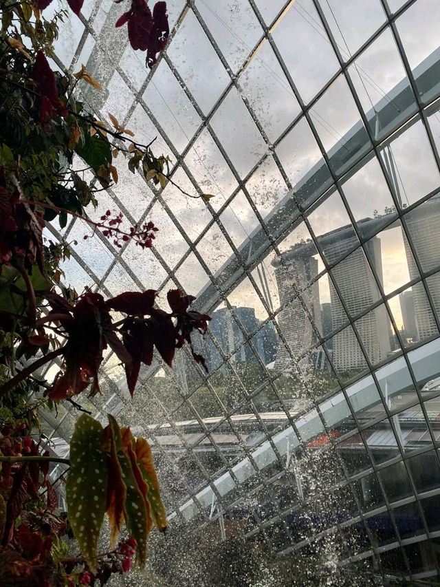 Misty Jungle in a Glass Dome