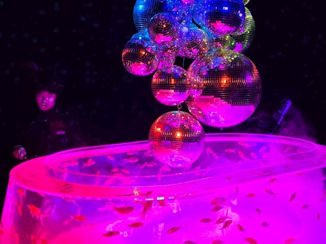 水族館裡的小確幸