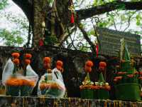 พระธาตุพูสี เมืองหลวงพระบาง ประเทศลาว
