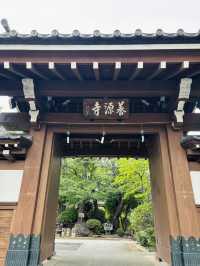 養源寺🇯🇵には七福神の恵比寿様がいるよ🙏⟡.·