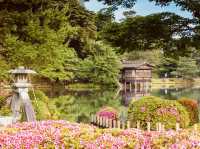 Solo Traveler's Perfect Day at Kenrokuen Garden** 🌸🏯