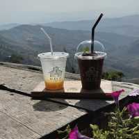 MiYo Coffee & Bar 