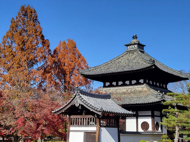 京都紅葉名勝：東福寺