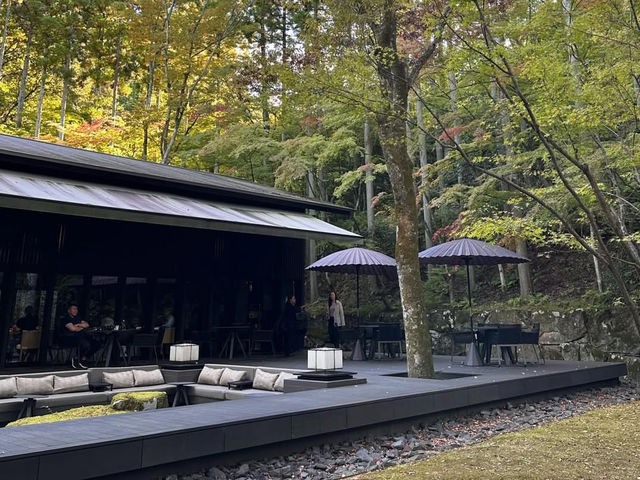 🌲京都・鷹峯｜アマン京都で過ごす、森と禅に包まれるひととき🧘‍♀️