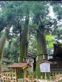 【宮崎】神話と縁結びの聖地⛩️高千穂神社で心を結ぶ旅