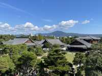 京都不能錯過的世界遺產｜二條城