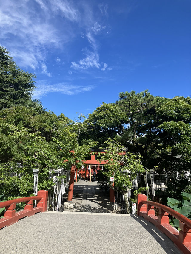 【神奈川・鎌倉市】鶴岡八幡宮〜商売繁盛、勝負運、良縁、安産のパワースポット〜