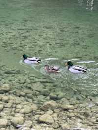 Königssee: Where Silence Echoes Louder