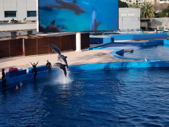 Dive Into the Coolest Underwater World