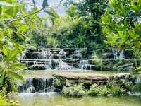 คาเฟ่นกแก้ว NY304