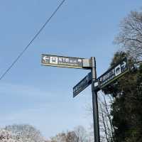 京都-南禪寺、蹴上傾斜鐵道