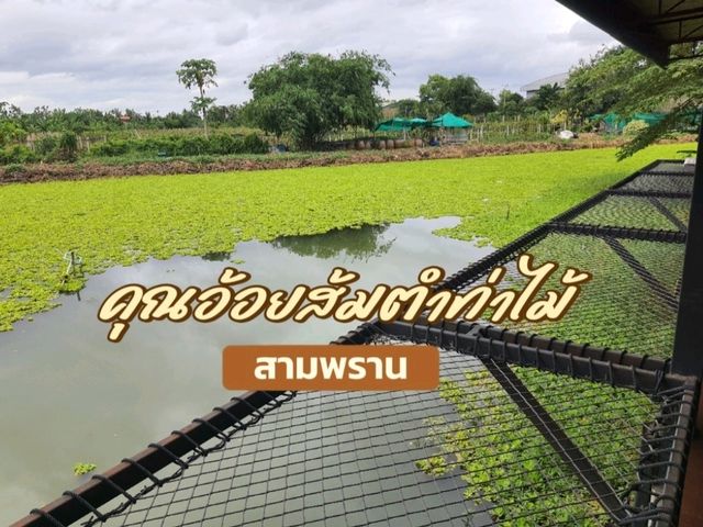 คุณอ้อยส้มตำท่าไม้ สามพราน