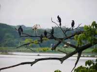 Nature Resorts Valley