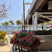 Tai Po Waterfront & Tolo Harbour