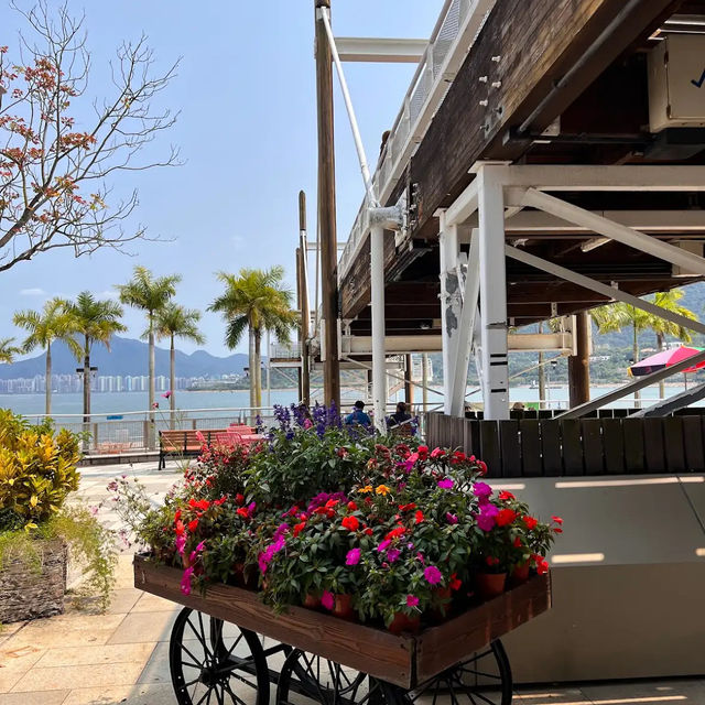 Tai Po Waterfront & Tolo Harbour