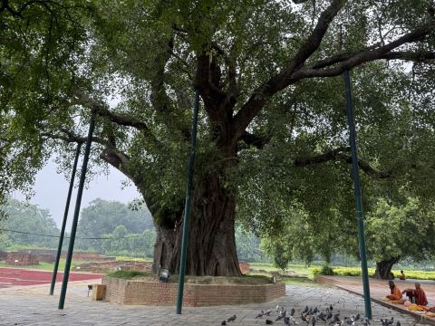 ネパール・ルンビニ ブッダ生誕の地】仏教の始まりを感じる、ルンビニ