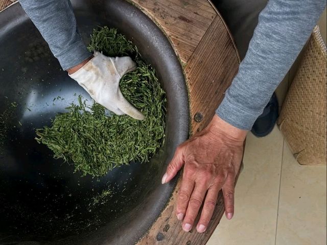 Tea Fields Forever: Wandering Through Long Jing Village
