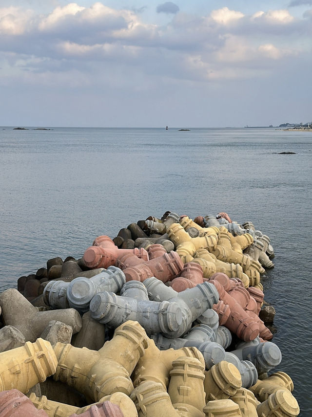 🌊 바다와 예술, 문화가 만나 더 특별한 강릉 2박 3일 여행코스