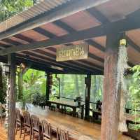 タイ産のハーブティーや手作りケーキが人気のお店🇹🇭