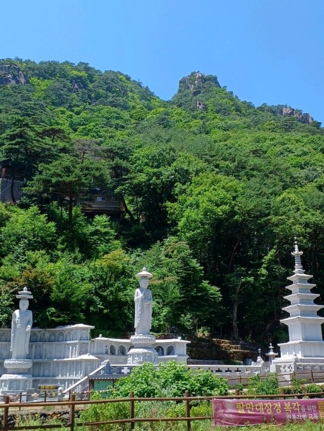 초록으로 물든 여름의 해인사