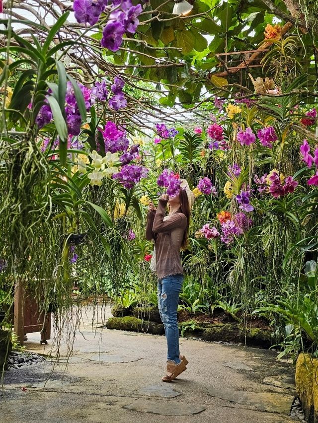 🌺トロピカルな夢の温室へ──沖縄の楽園をまるごと体感。
