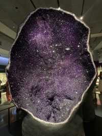 自然歷史博物館