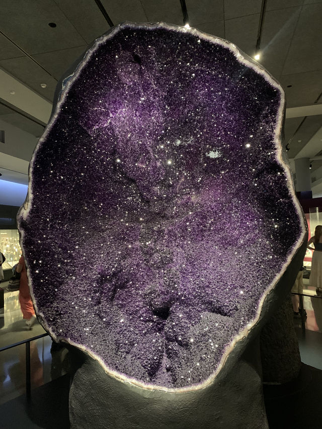 自然歷史博物館