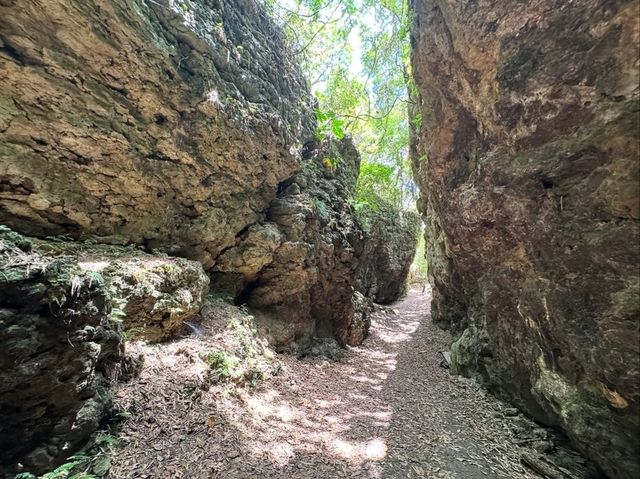 Panlong Gorge Gave Jungle Vibes and Slippery Surprises