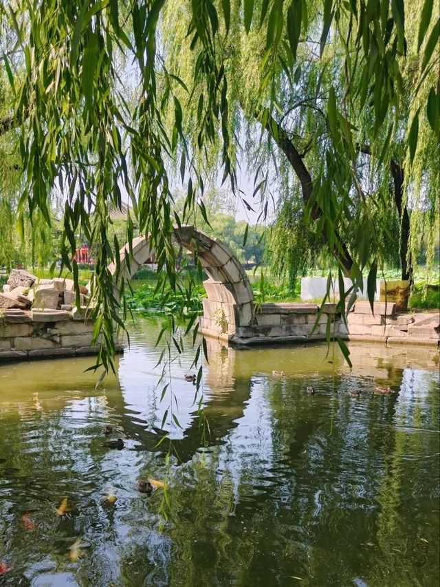 Old Summer Palace (Yuanmingyuan Ruins Park) Old Summer Palace (Yuanmingyuan Ruins Park)