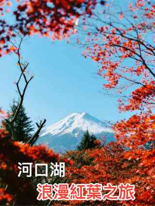 無印良品　IDEE 秋山花 「The Time Of Forests」 A hidden spot surrounded by beautiful flowers | Trip.com